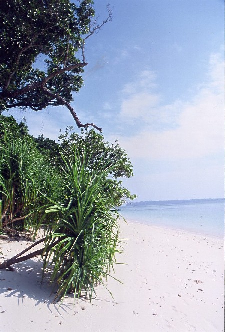 andaman