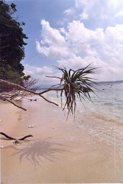 andaman