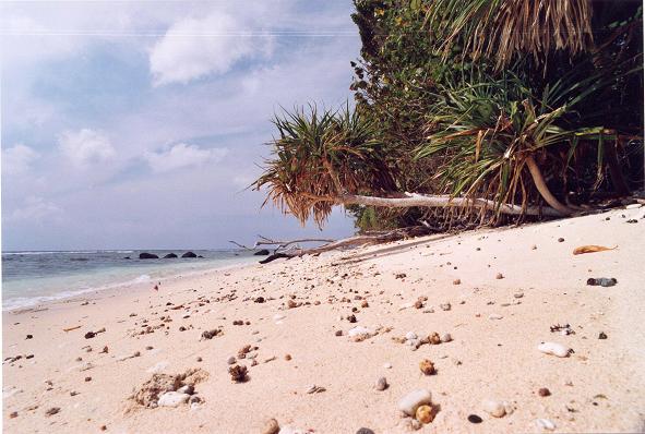 andaman