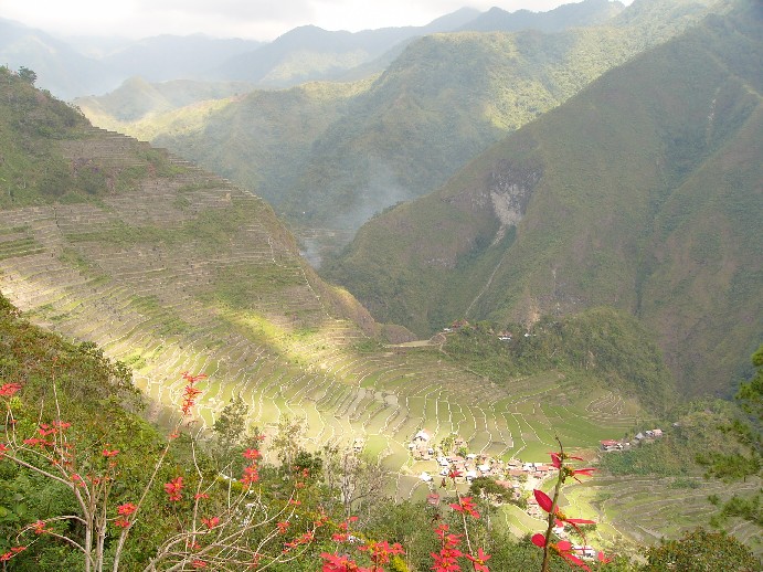 rizières batad