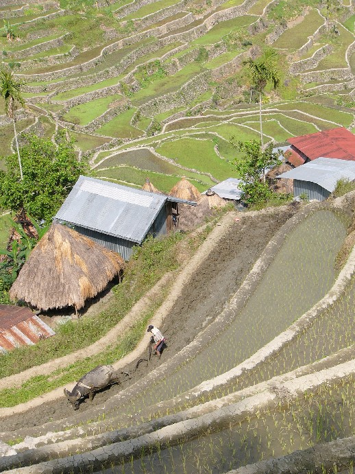 Philippines batad