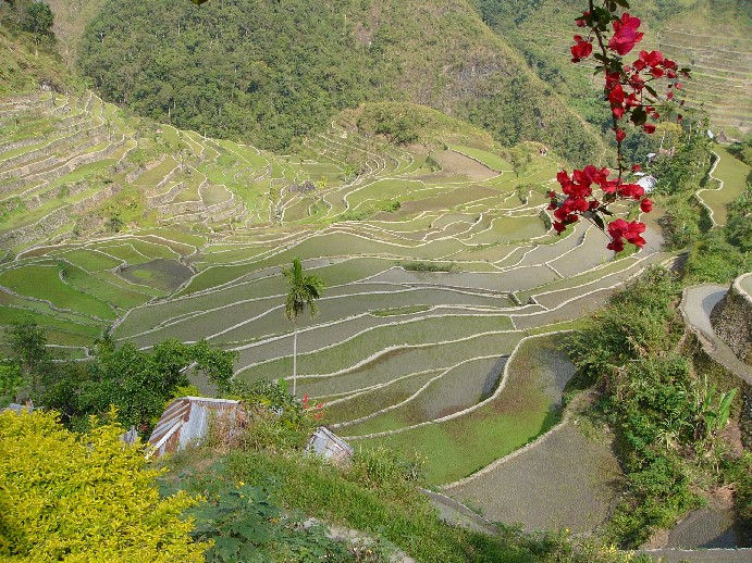 batad luzon