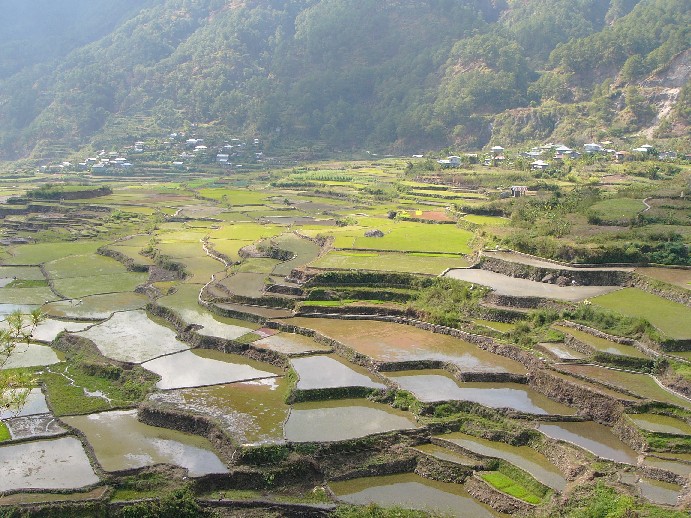 cultures en terrasse sagada