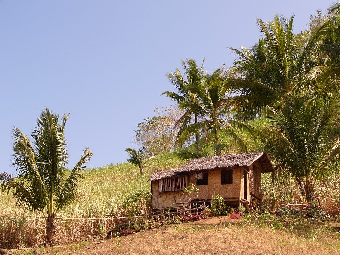 negros philippines