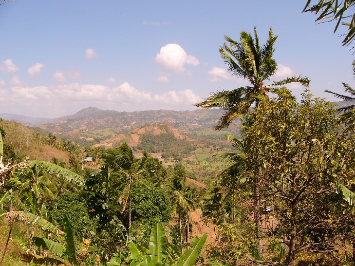 negros visayas