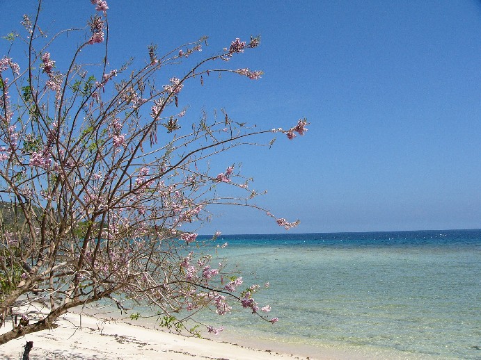 Siquijor Philippines